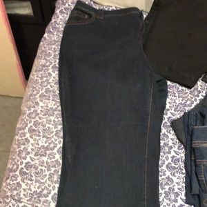 Lane Bryant distinctly boot pants